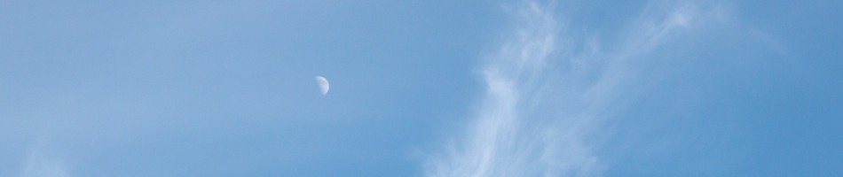 Robert-Meyer.net(z)